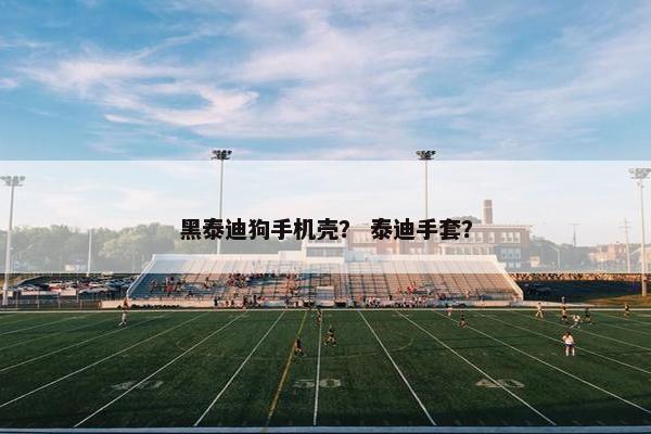 黑泰迪狗手机壳？ 泰迪手套？