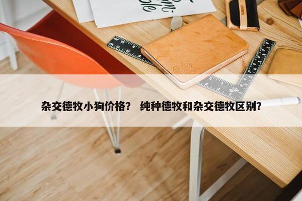 杂交德牧小狗价格？ 纯种德牧和杂交德牧区别？