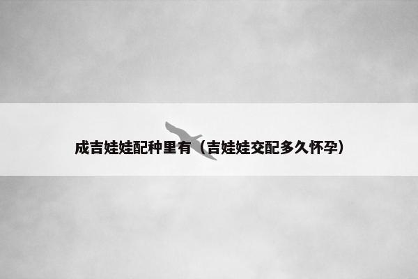 成吉娃娃配种里有（吉娃娃交配多久怀孕）