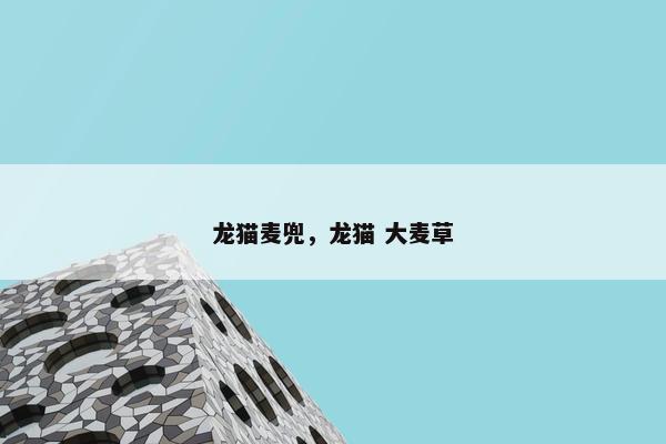 龙猫麦兜，龙猫 大麦草