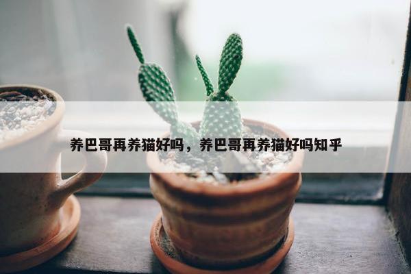 养巴哥再养猫好吗，养巴哥再养猫好吗知乎