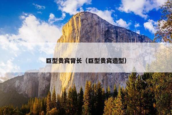 巨型贵宾背长（巨型贵宾造型）