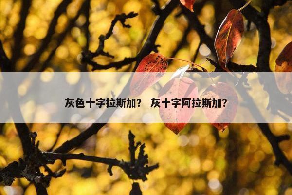 灰色十字拉斯加？ 灰十字阿拉斯加？