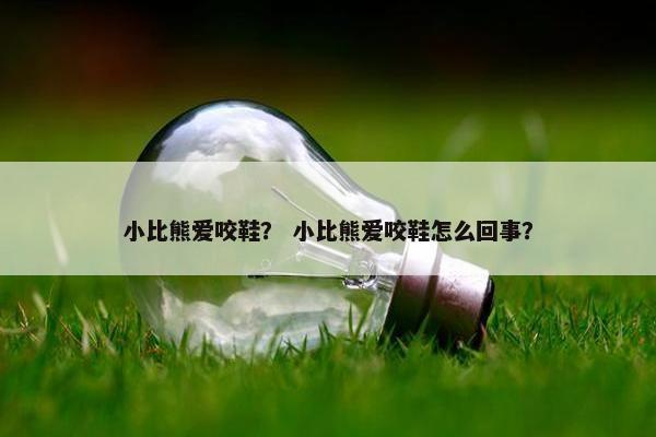 小比熊爱咬鞋？ 小比熊爱咬鞋怎么回事？