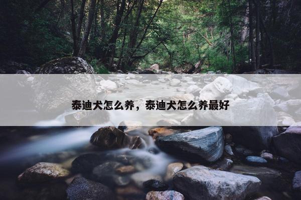 泰迪犬怎么养，泰迪犬怎么养最好