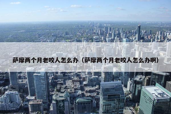萨摩两个月老咬人怎么办（萨摩两个月老咬人怎么办啊）