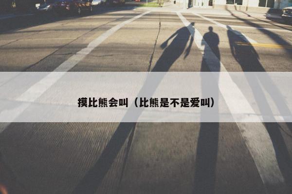 摸比熊会叫（比熊是不是爱叫）