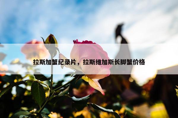 拉斯加蟹纪录片，拉斯维加斯长脚蟹价格