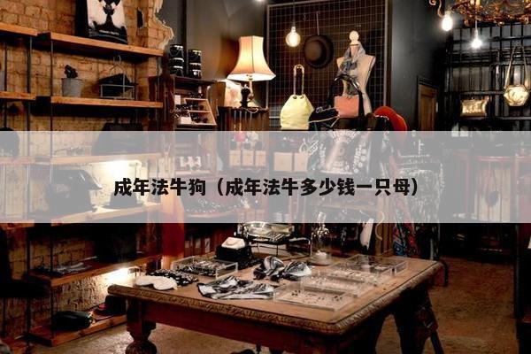 成年法牛狗（成年法牛多少钱一只母）