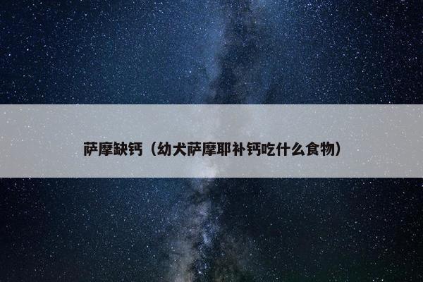 萨摩缺钙（幼犬萨摩耶补钙吃什么食物）