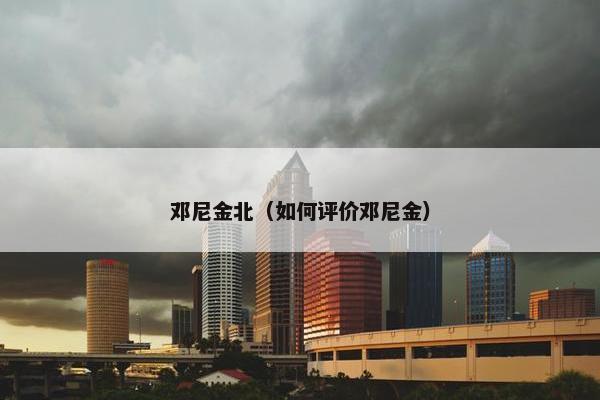 邓尼金北（如何评价邓尼金）