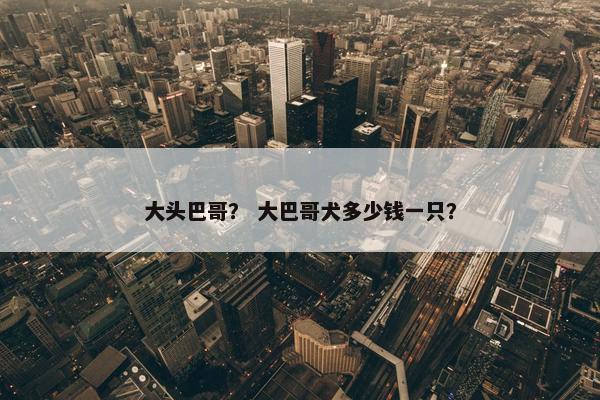大头巴哥？ 大巴哥犬多少钱一只？