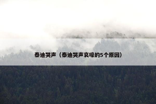 泰迪哭声（泰迪哭声哀嚎的5个原因）