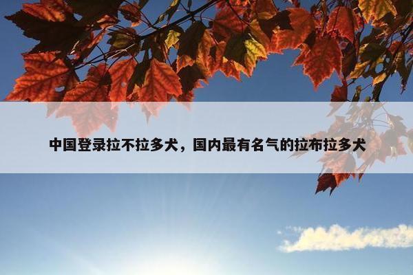中国登录拉不拉多犬，国内最有名气的拉布拉多犬