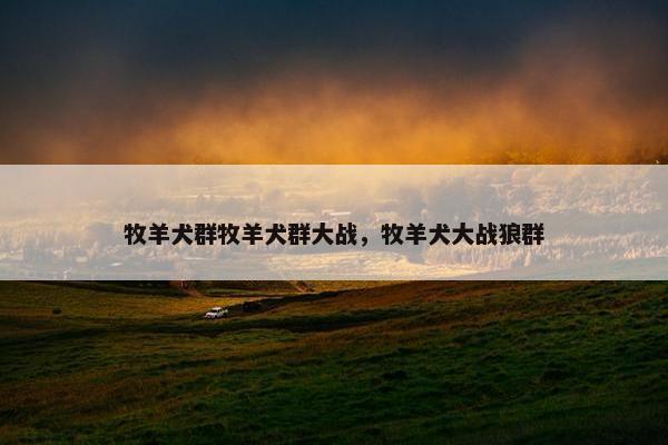 牧羊犬群牧羊犬群大战，牧羊犬大战狼群
