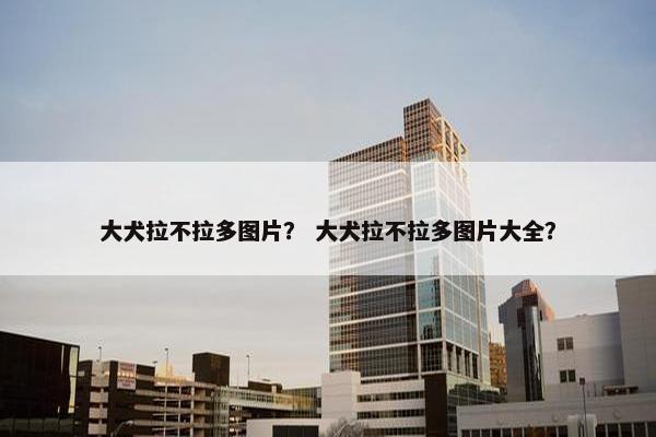 大犬拉不拉多图片？ 大犬拉不拉多图片大全？