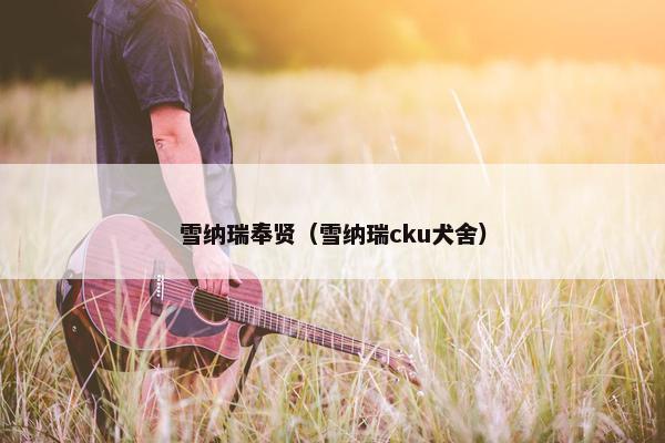 雪纳瑞奉贤（雪纳瑞cku犬舍）