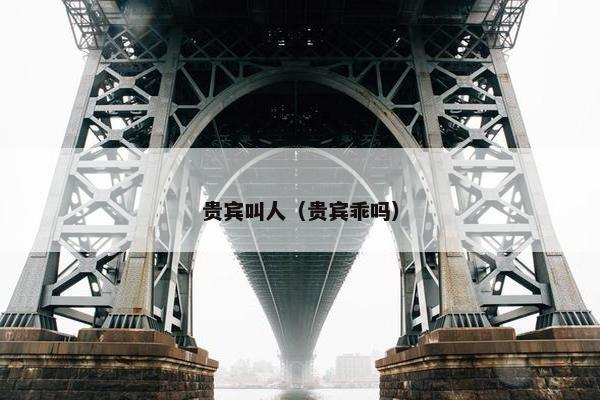 贵宾叫人（贵宾乖吗）