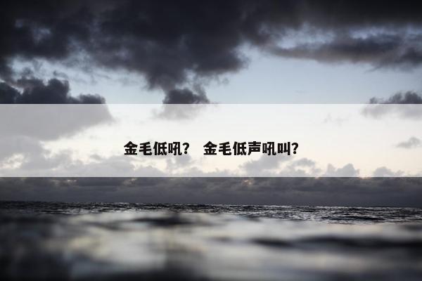 金毛低吼？ 金毛低声吼叫？