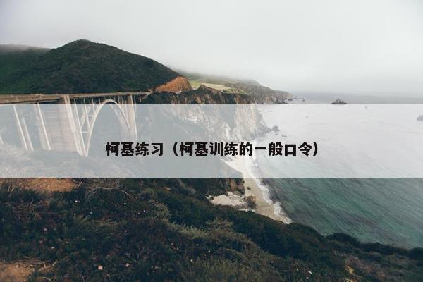 柯基练习（柯基训练的一般口令）