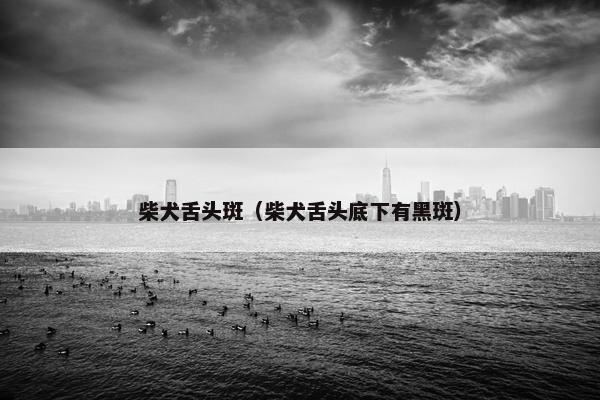 柴犬舌头斑（柴犬舌头底下有黑斑）