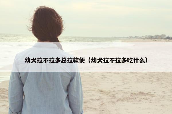 幼犬拉不拉多总拉软便（幼犬拉不拉多吃什么）