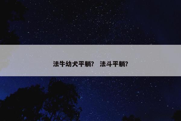 法牛幼犬平躺？ 法斗平躺？