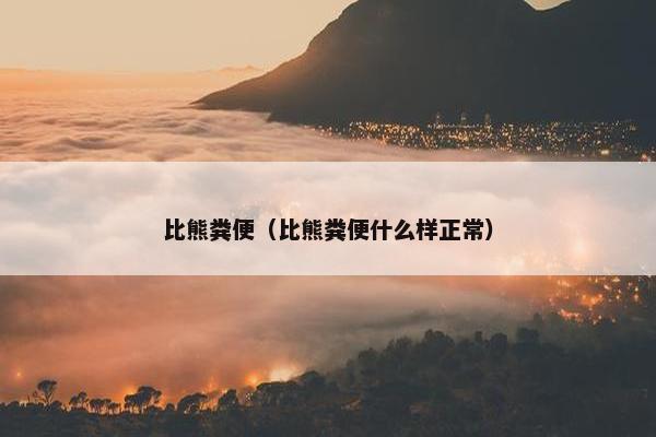 比熊粪便（比熊粪便什么样正常）