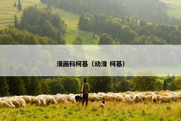 漫画科柯基（动漫 柯基）