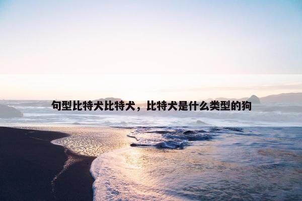 句型比特犬比特犬，比特犬是什么类型的狗