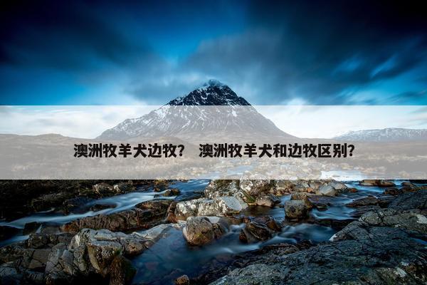 澳洲牧羊犬边牧？ 澳洲牧羊犬和边牧区别？