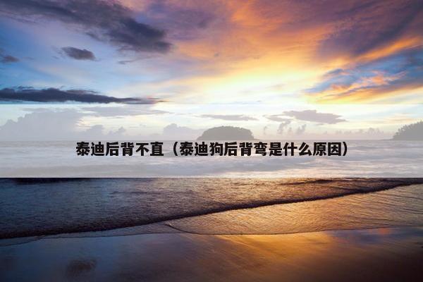 泰迪后背不直（泰迪狗后背弯是什么原因）