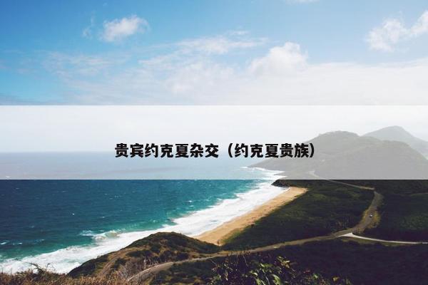 贵宾约克夏杂交（约克夏贵族）