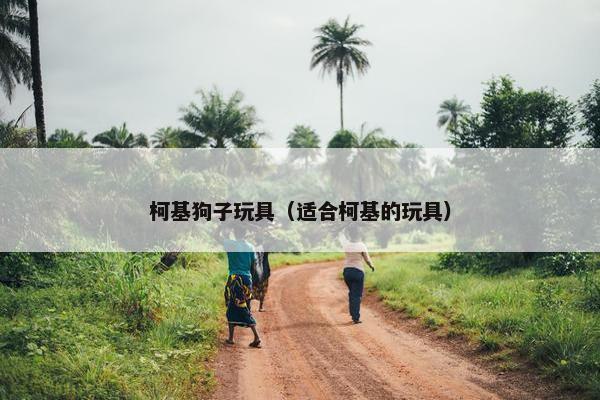 柯基狗子玩具（适合柯基的玩具）