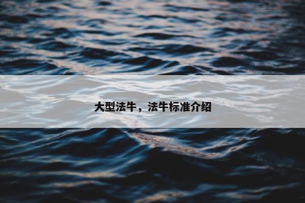 大型法牛，法牛标准介绍
