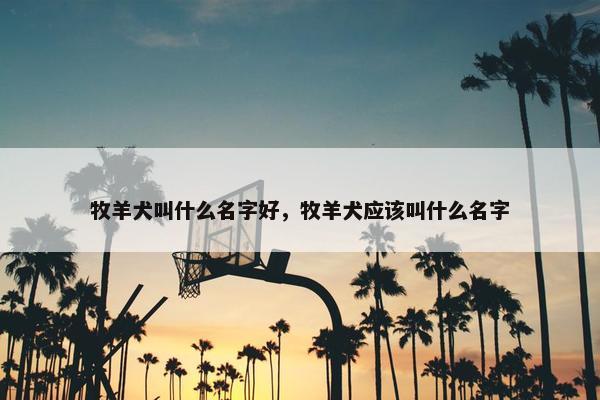 牧羊犬叫什么名字好，牧羊犬应该叫什么名字