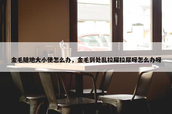 金毛随地大小便怎么办，金毛到处乱拉屎拉尿呀怎么办呀