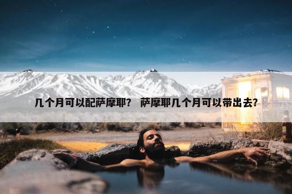 几个月可以配萨摩耶？ 萨摩耶几个月可以带出去？