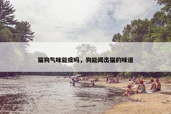 猫狗气味能症吗，狗能闻出猫的味道