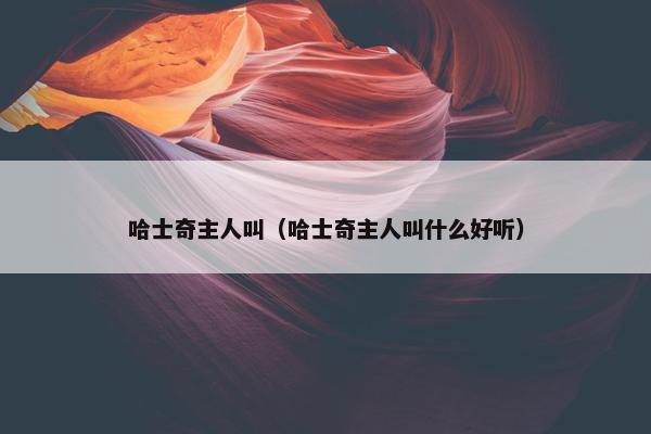 哈士奇主人叫（哈士奇主人叫什么好听）