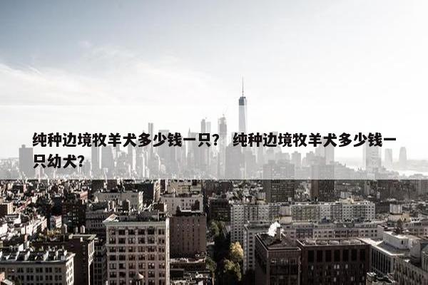 纯种边境牧羊犬多少钱一只？ 纯种边境牧羊犬多少钱一只幼犬？