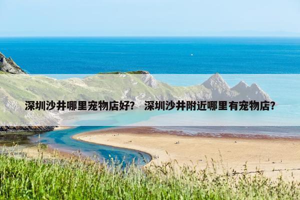 深圳沙井哪里宠物店好？ 深圳沙井附近哪里有宠物店？