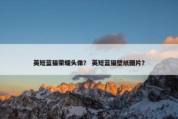 英短蓝猫荣耀头像？ 英短蓝猫壁纸图片？