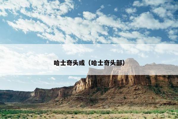 哈士奇头或（哈士奇头部）