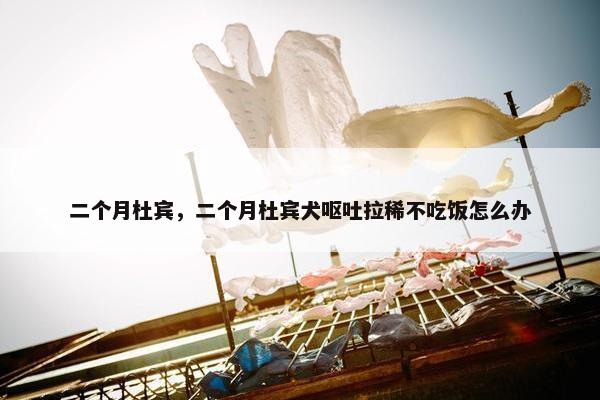 二个月杜宾，二个月杜宾犬呕吐拉稀不吃饭怎么办