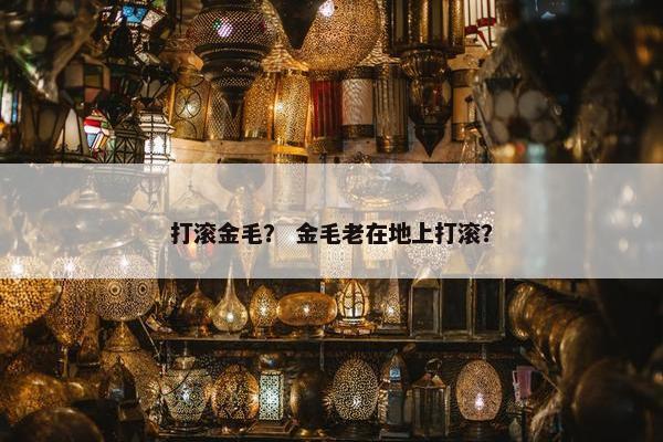 打滚金毛？ 金毛老在地上打滚？