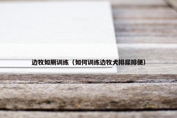 边牧如厕训练（如何训练边牧犬排尿排便）