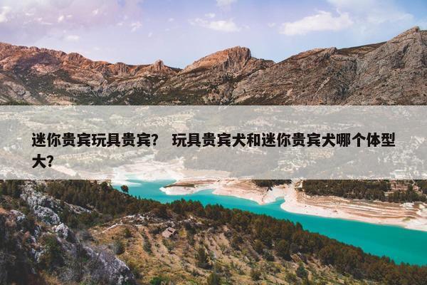 迷你贵宾玩具贵宾？ 玩具贵宾犬和迷你贵宾犬哪个体型大？