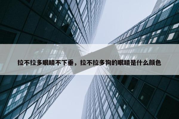 拉不拉多眼睛不下垂，拉不拉多狗的眼睛是什么颜色