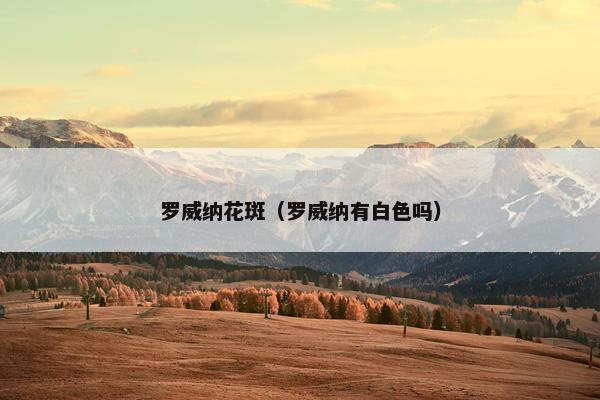 罗威纳花斑（罗威纳有白色吗）